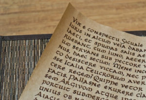 Влияние латыни на древнеанглийский язык